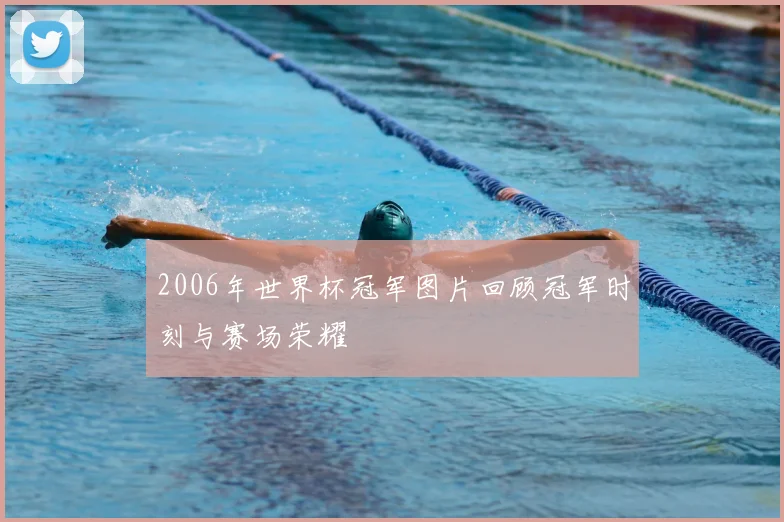 2006年世界杯冠军图片回顾冠军时刻与赛场荣耀